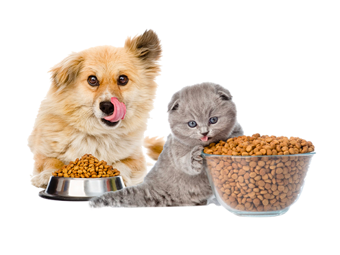 máquina de comida para mascotas