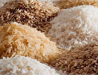 arroz nutritivo2-2023022